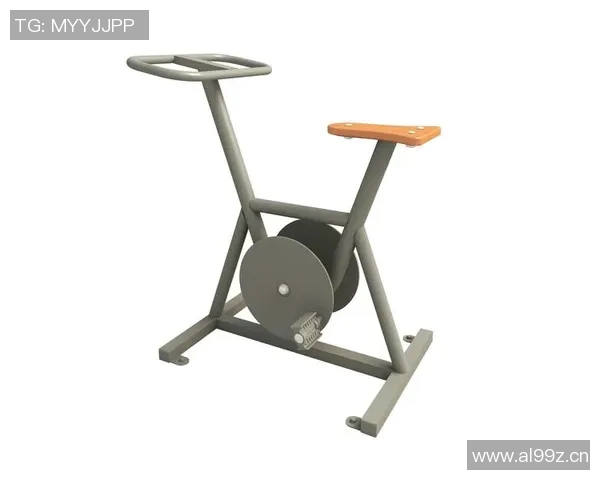 英派斯健身器材图片与评测：英派斯品牌健身器材的使用评测与图片展示