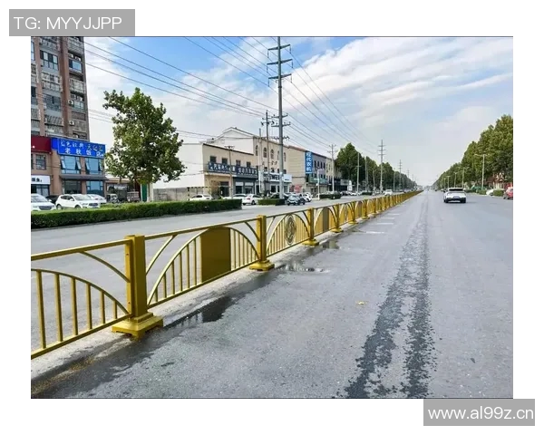 交通护栏设计与应用分析:提升道路安全与美观的双重保障